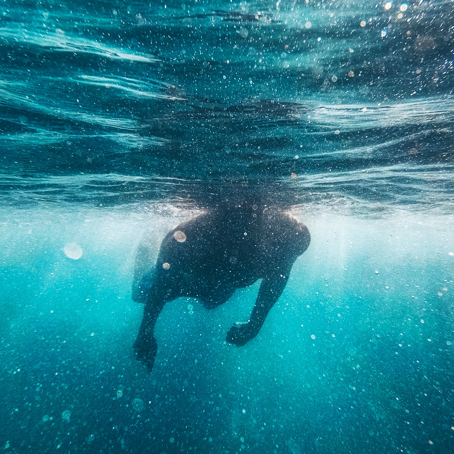 These two books have turned out to be remarkably prescient, and they open up new ways to think about the time we spend in the pool or on the path.