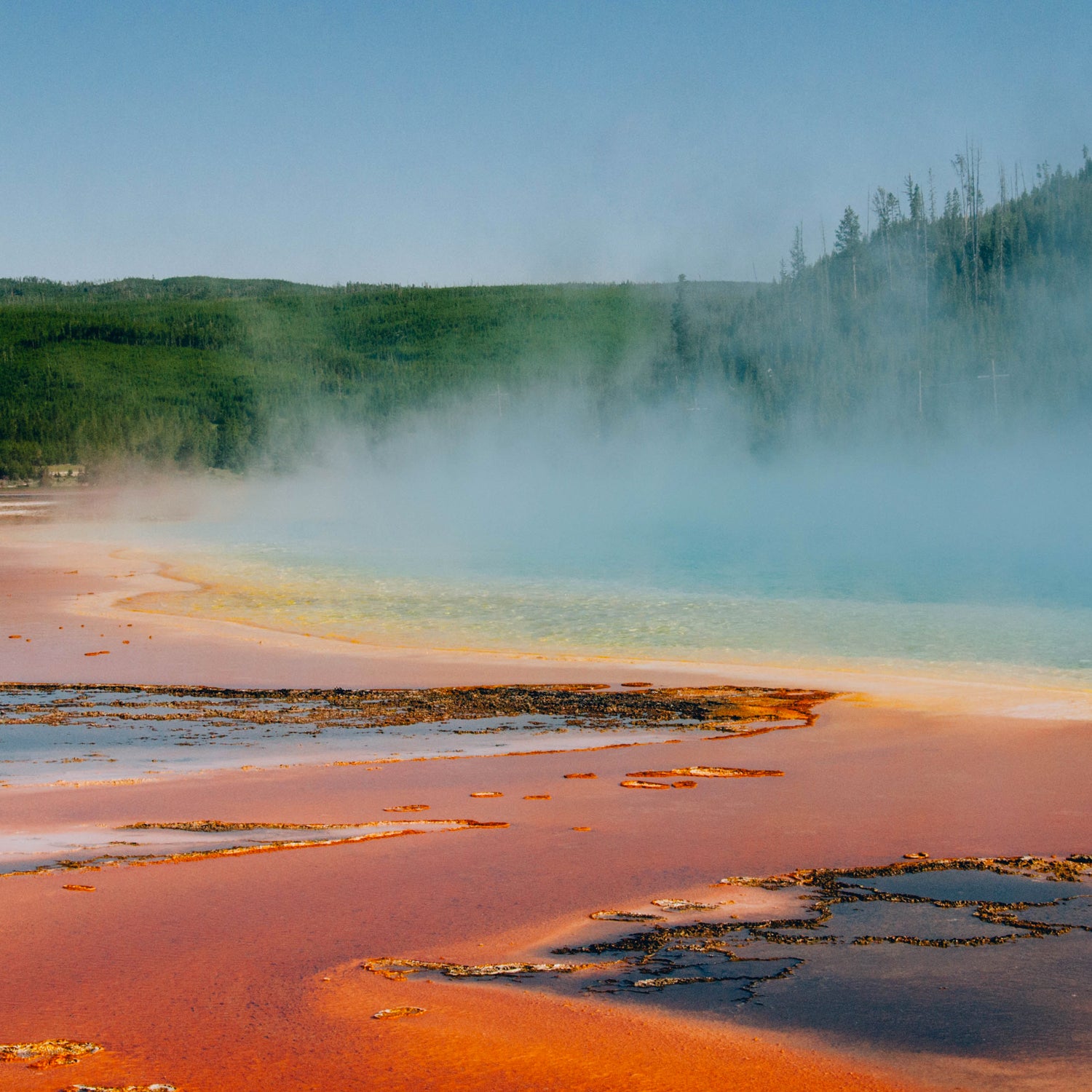 “I first conceived of Sunshield when I was working in Yellowstone as a ranger,” Martin says. “Like many of my stories, it was really the natural setting that fueled the story first.”