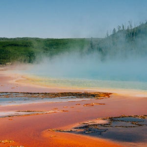 “I first conceived of Sunshield when I was working in Yellowstone as a ranger,” Martin says. “Like many of my stories, it was really the natural setting that fueled the story first.”
