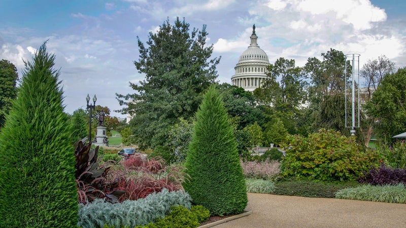 U.S. Botanical Garden View of the U.S. Capitol in Washington, DC