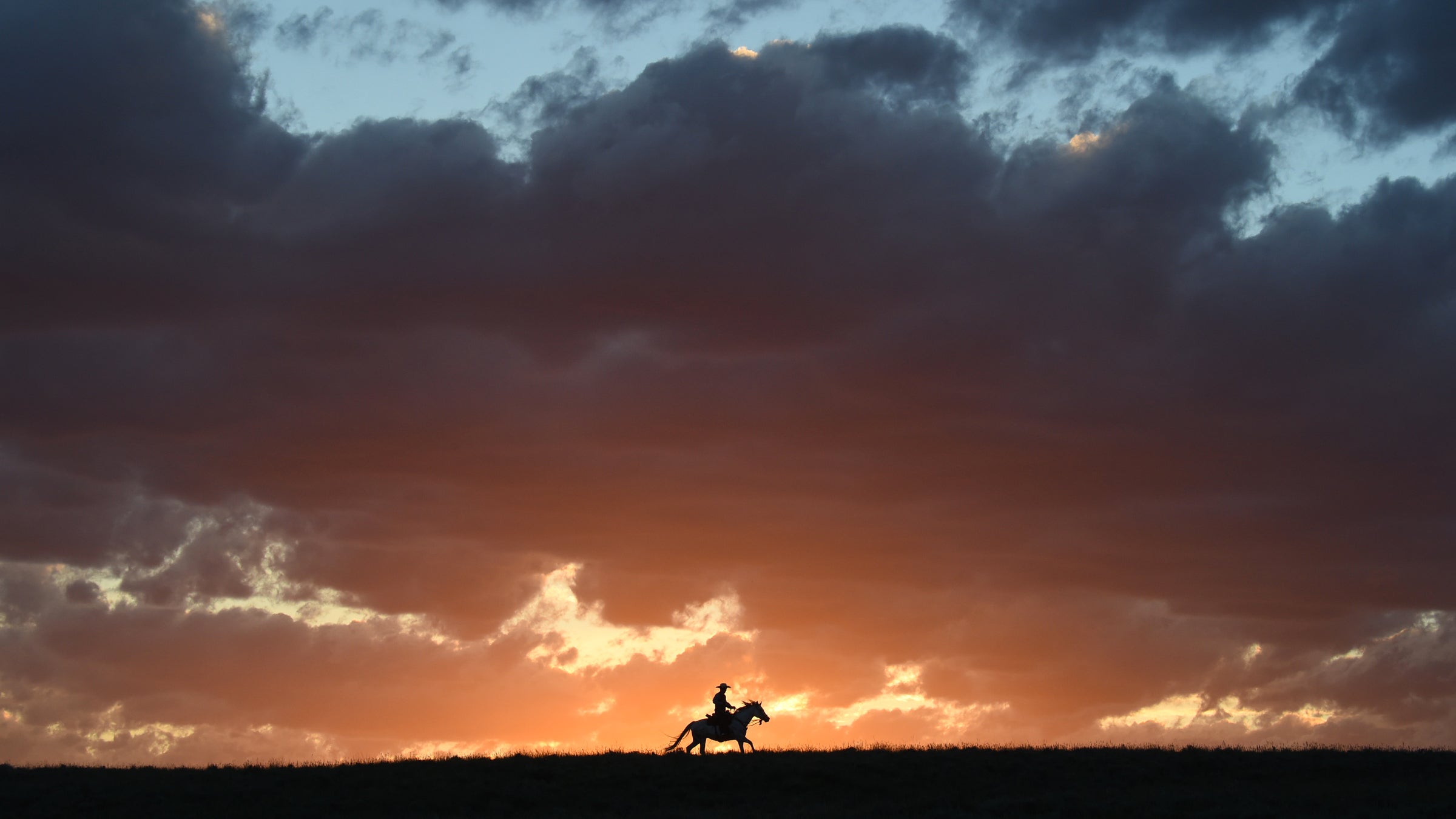 For moving objects, use a higher shutter speed to make sure the subject is in focus, then tweak the aperture and ISO until your viewfinder shows a scene that’s not too light and not too dark.