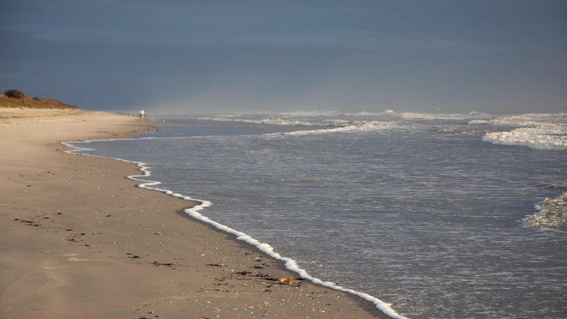 False Cape State Park