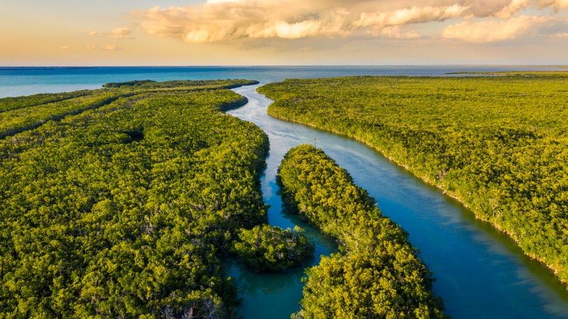 Everglades National Park at sunset, Florida, USA