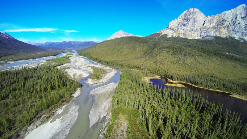 Sukakpak Mountain and the Koyukuk River in Summer