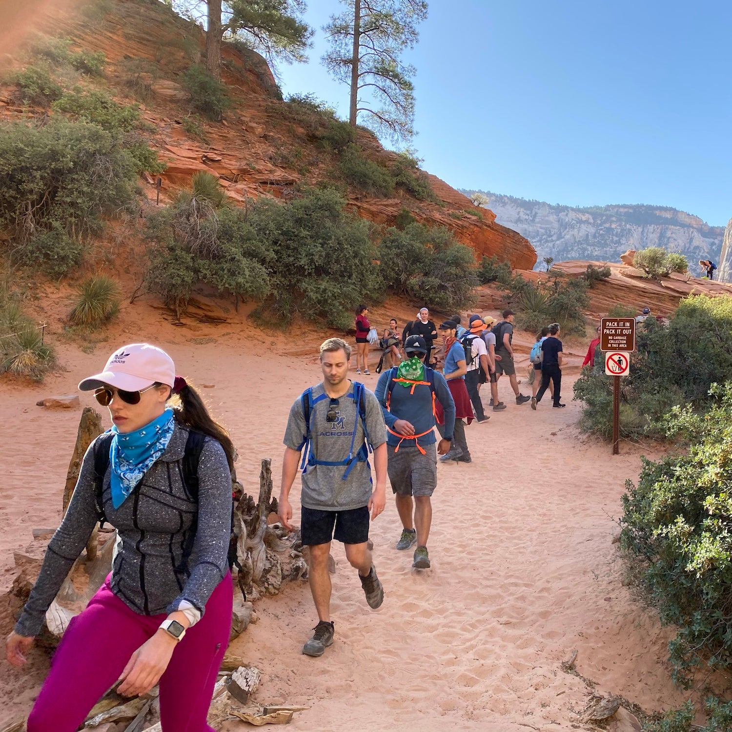 The top of the West Rim of Angels Landing