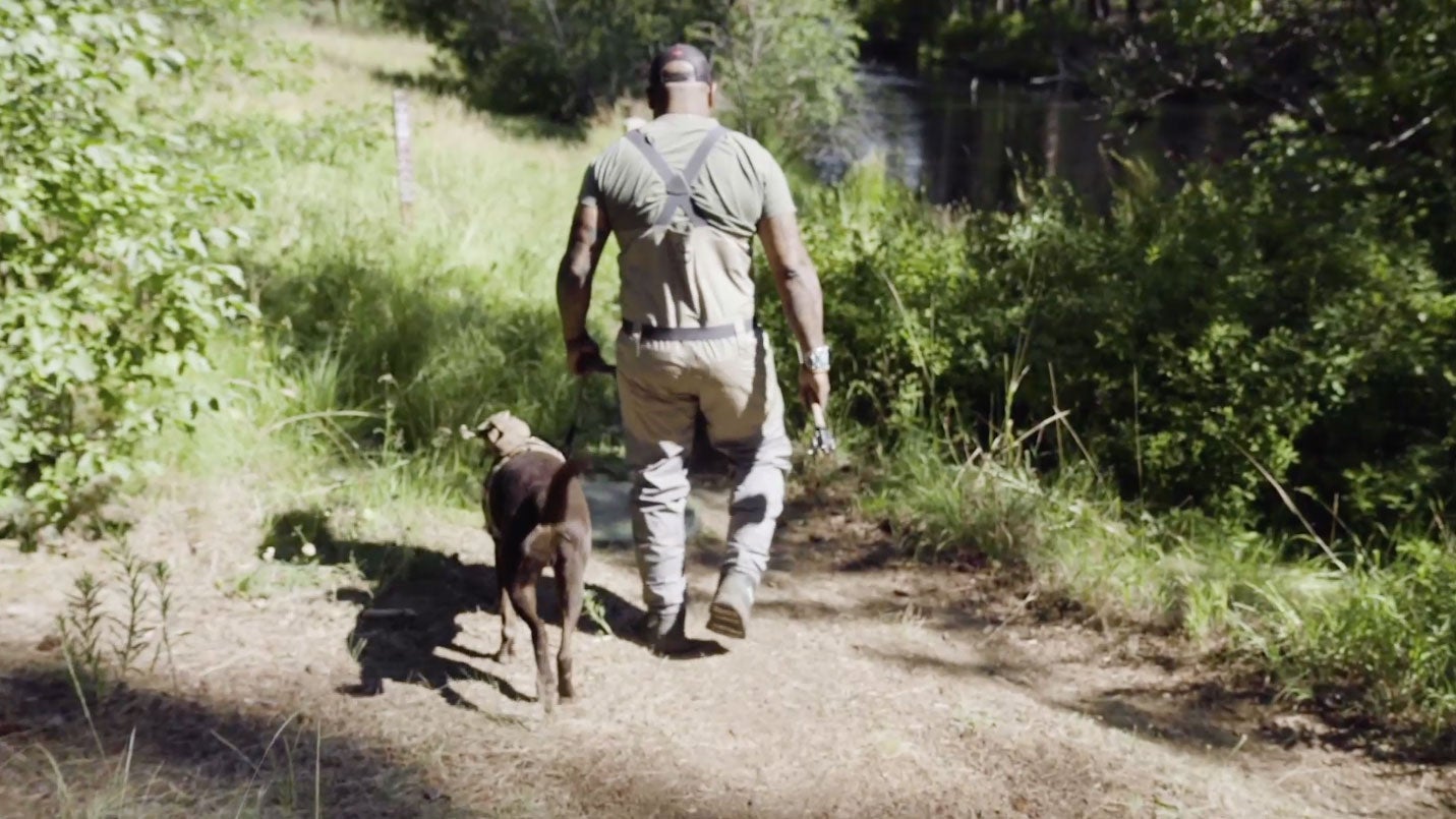 How a Dog Can Help Heal a War Vet Outside Online