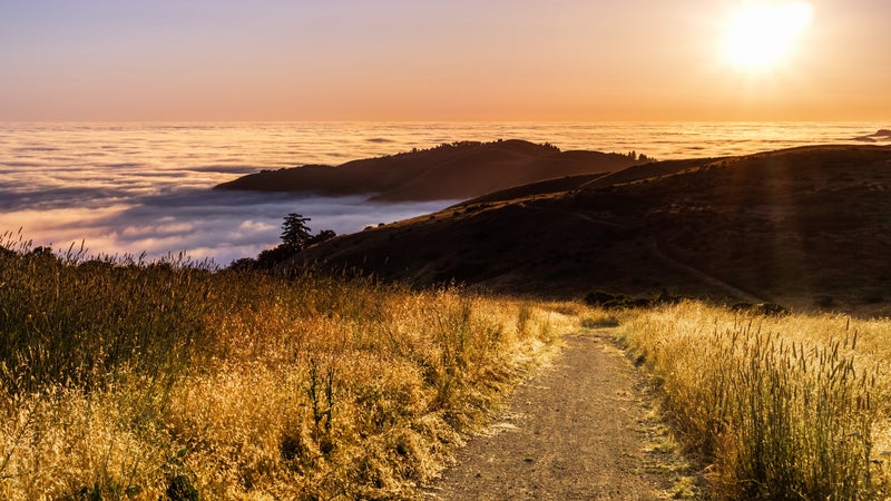 Sunset view of hiking trail in the Santa Cruz mountains; valley covered by a sea of clouds visible in the background; San Francisco bay area, California