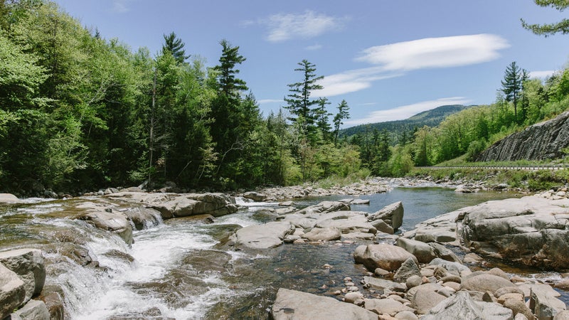 Late Spring White Mountain National Forest