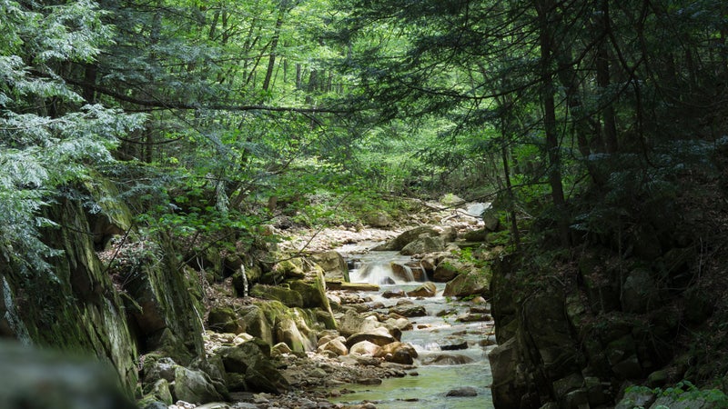 Scenic Landscape, Lye Brook, Vermont
