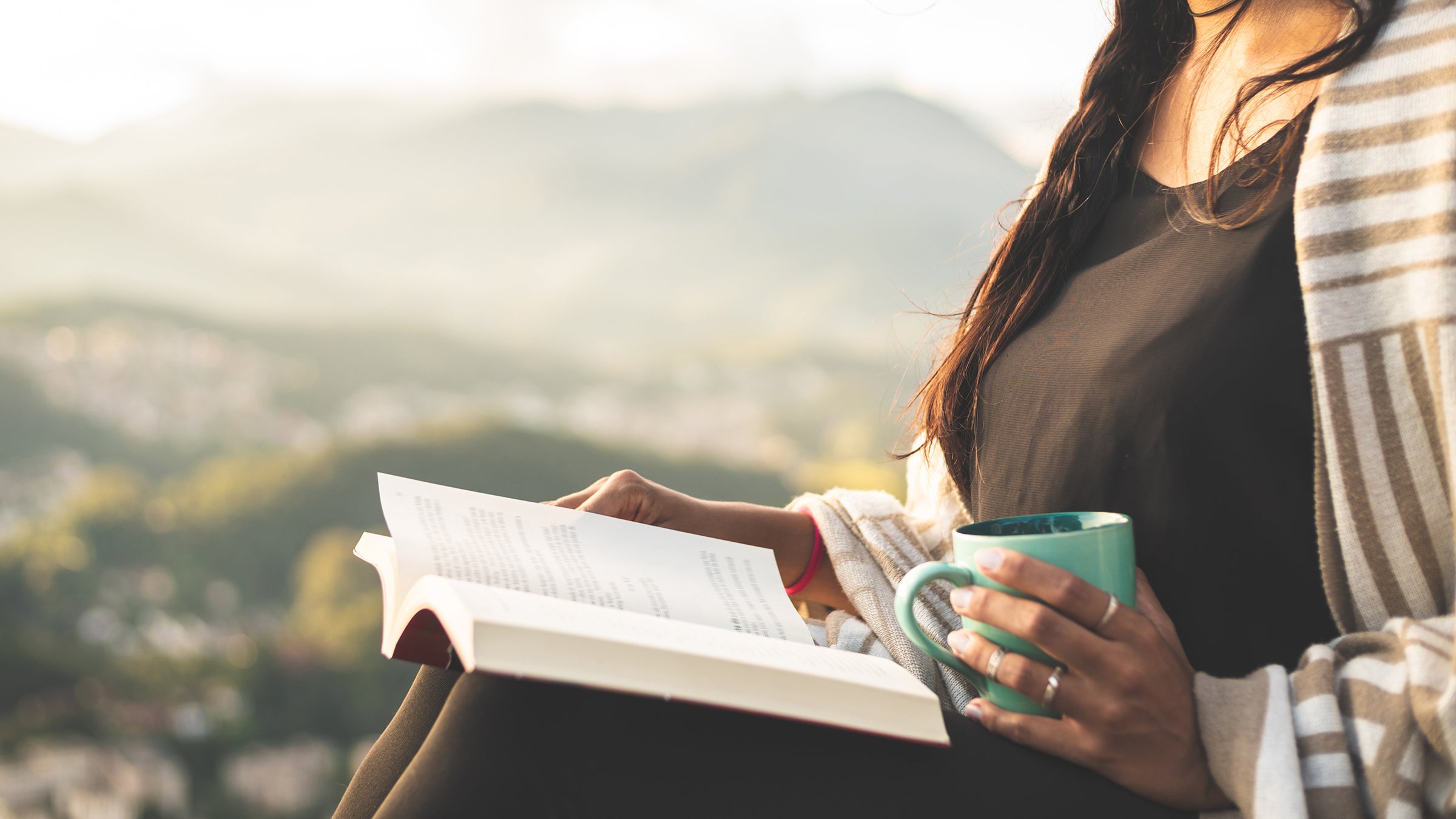 Literature (Cortiço Stone) in the Serra dos Orgãos National Park, Rio de Janeiro, Brazil