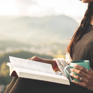Literature (Cortiço Stone) in the Serra dos Orgãos National Park, Rio de Janeiro, Brazil