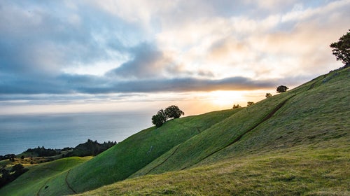 Courtney grew up riding the trails around Mount Tamalpais, where mountain biking literally got its start.