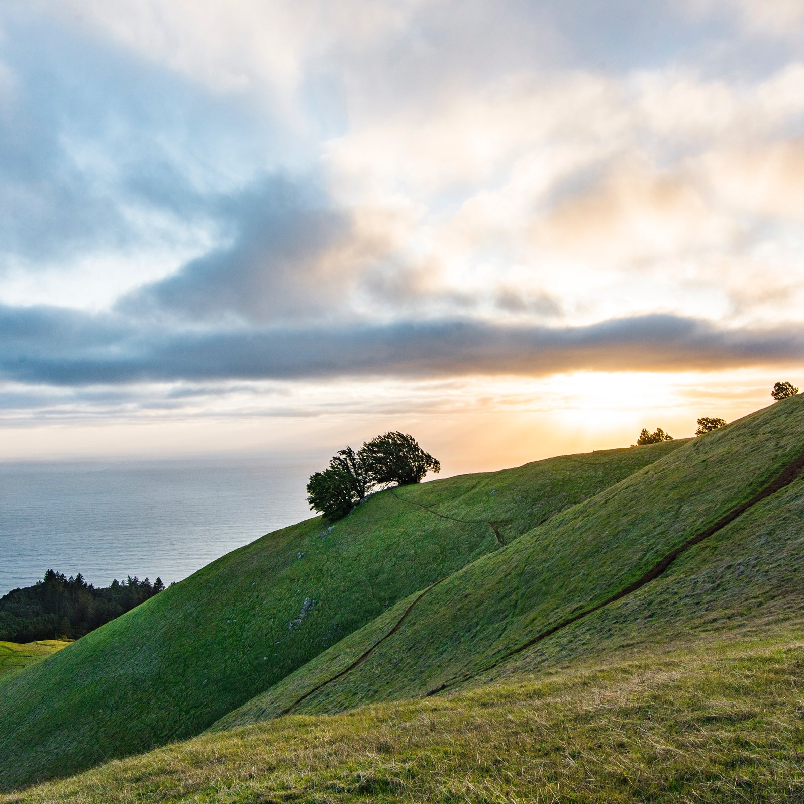 Courtney grew up riding the trails around Mount Tamalpais, where mountain biking literally got its start.