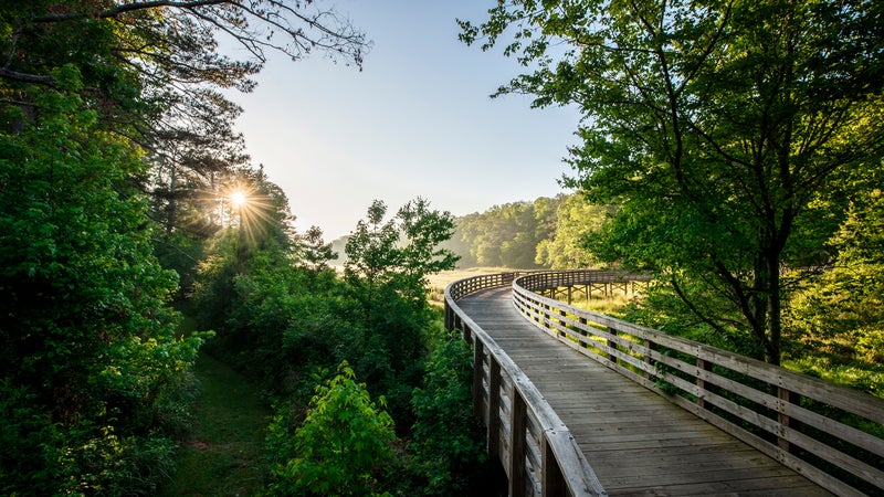 Panola Mountain