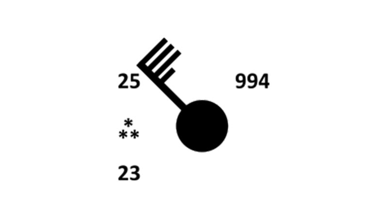 A station plot