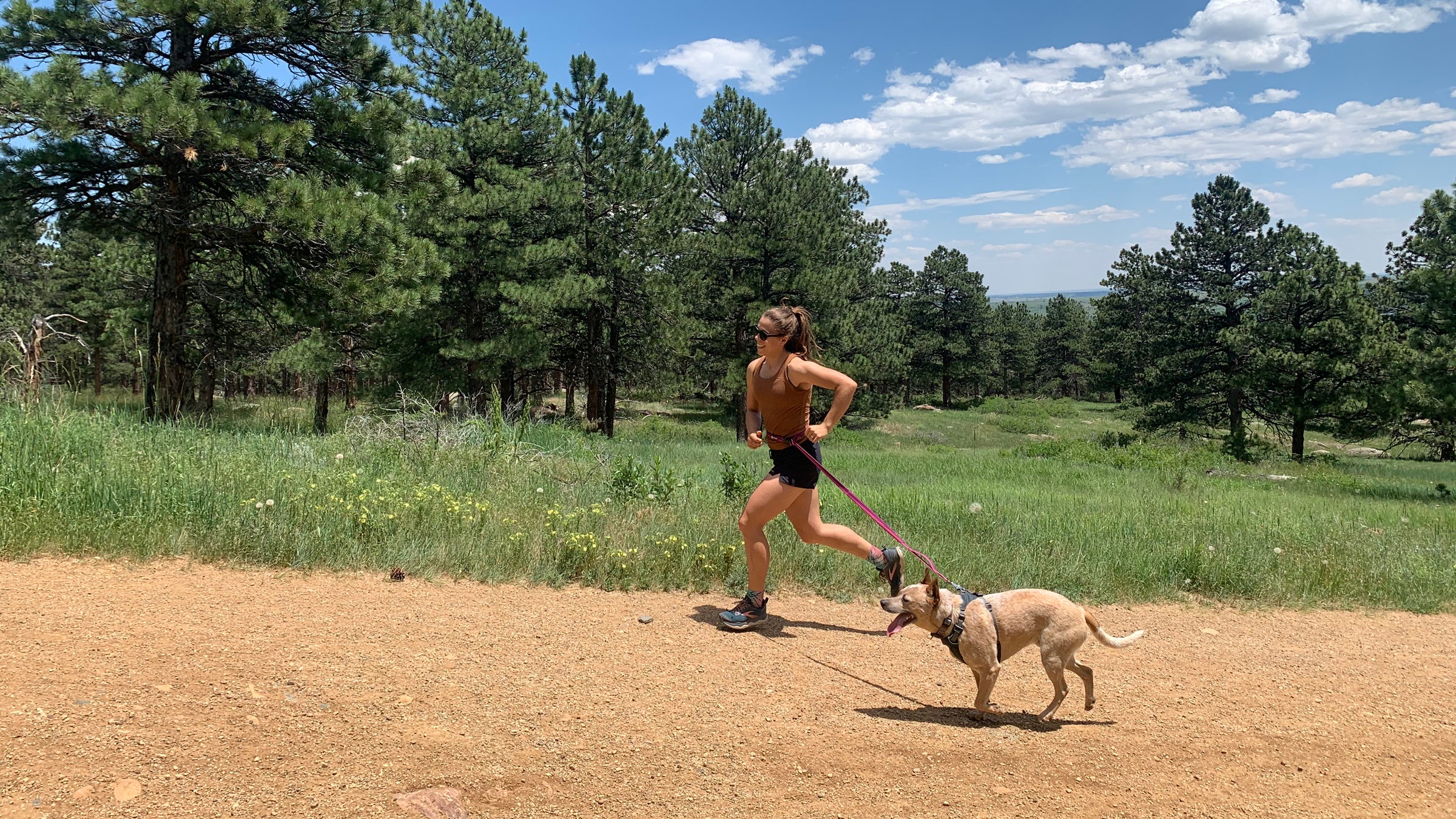 The Best Dog Leash for Running