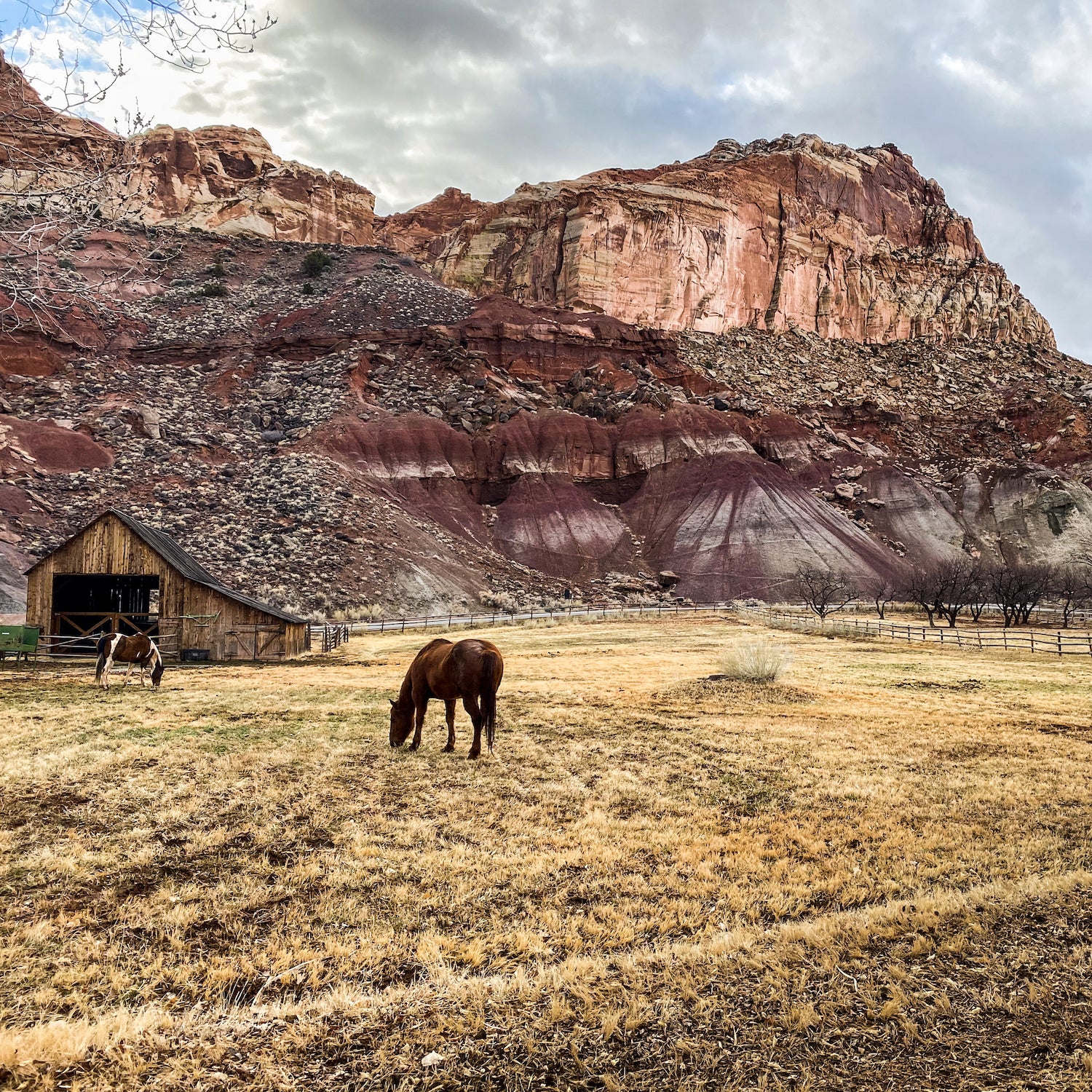 Capitol Reef National Park, Utah