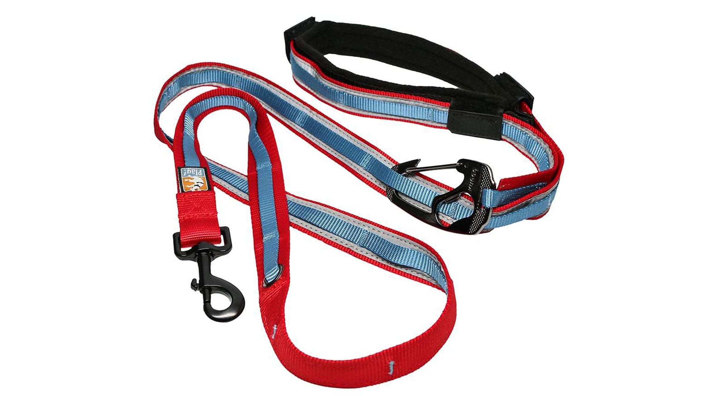 Dog hotsell running leash