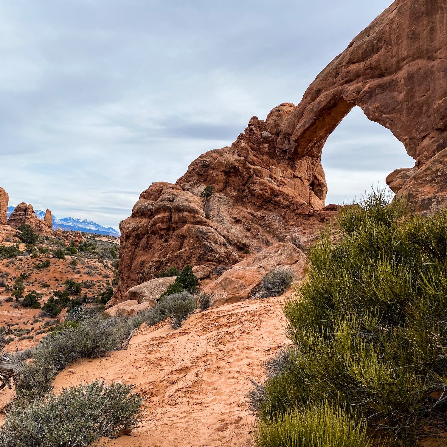 Arches