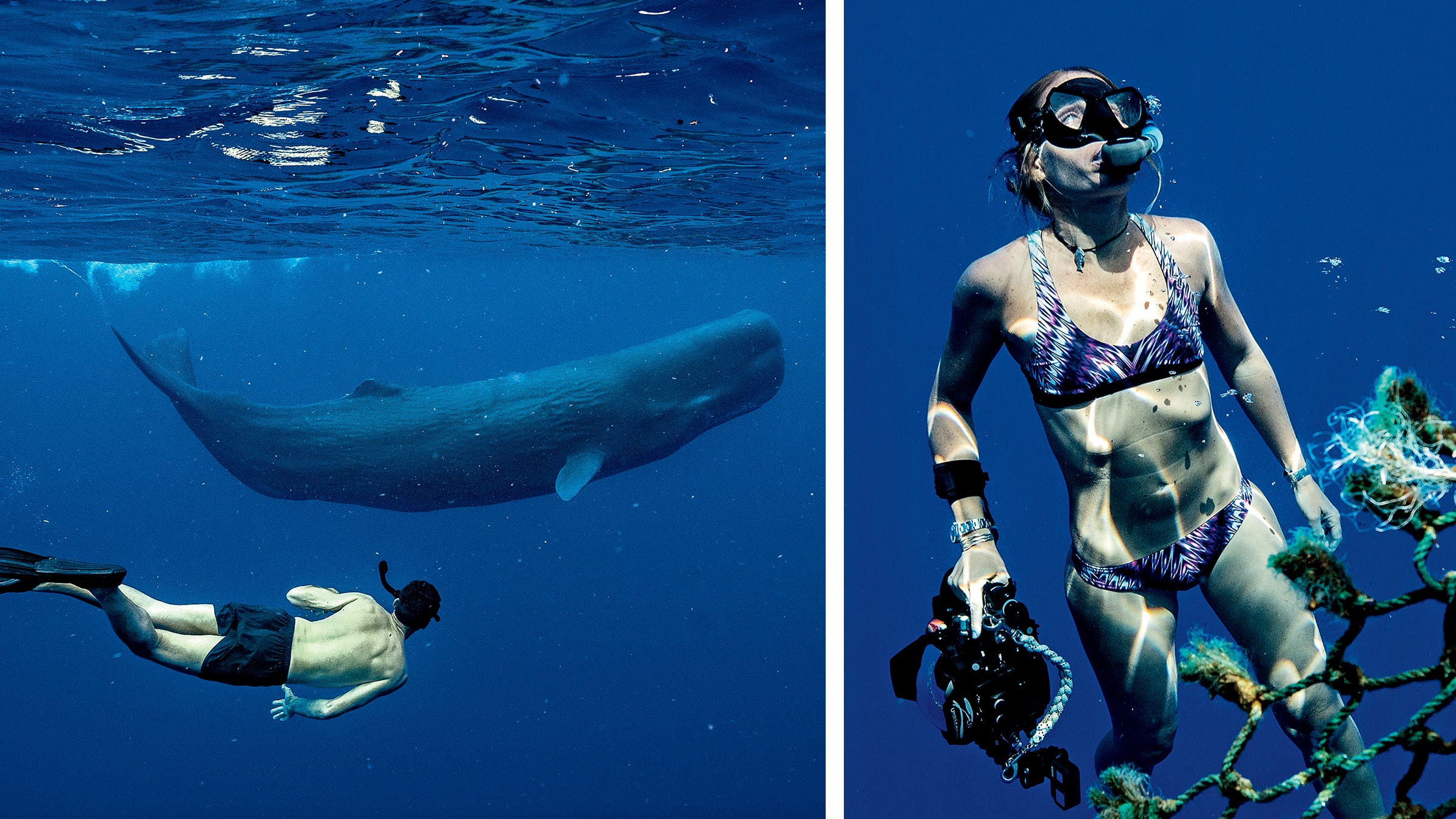 From left: the author with a young whale; Gaelin coming up for air between shots