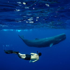Rowan Jacobsen with a young whale