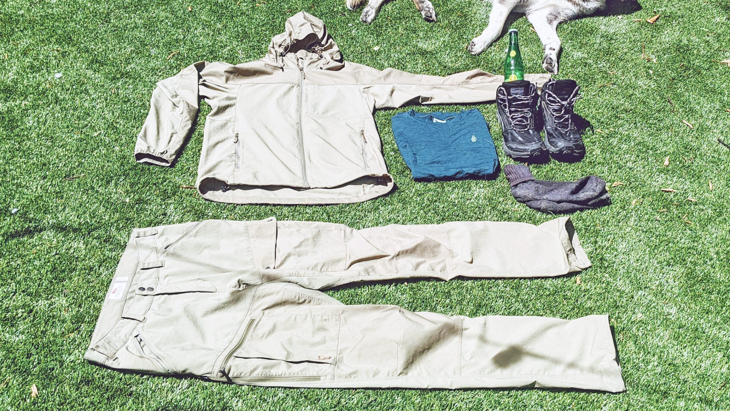 Yes, I really am this good at lawn care. 