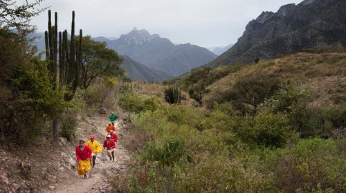 A team of anthropologists take aim at the myths and misunderstandings that have arisen over Tarahumara running culture.