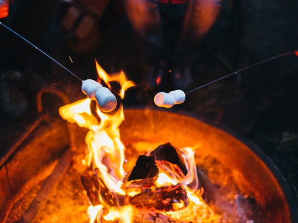 The following recommendations pull double duty, working at home and during weekend car-camping trips with your clan. 