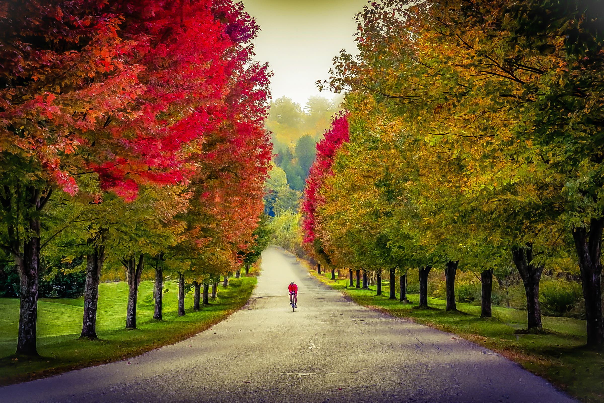 Ironman #85: Warren, Vermont