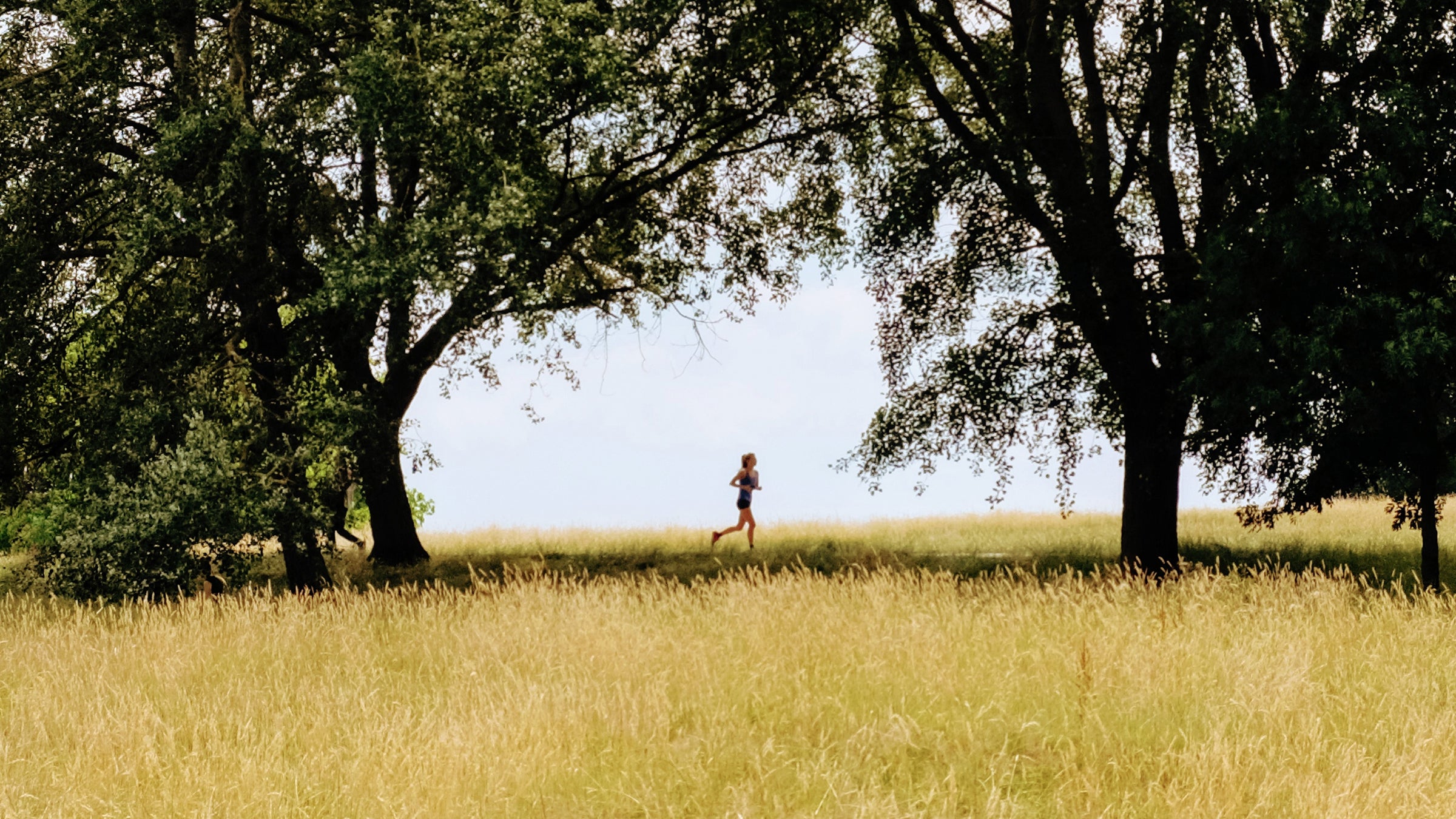 According to research, heat boosts levels of oxygen-carrying hemoglobin in your blood, just like altitude training.