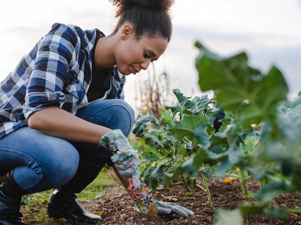 Old clothes are a great gardening go-to—you really can't go wrong—but if you're looking for something new, these are my current favorites for keeping cool and protected.