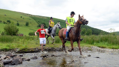 Man v Horse Marathon