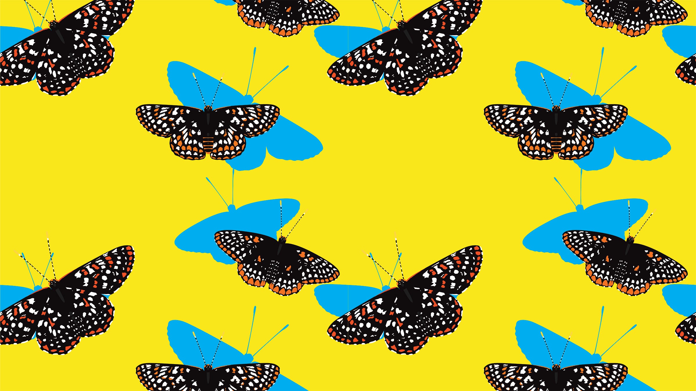 For many years, Checkerspot butterflies were thought to be “the entomological equivalent of homebodies.”