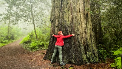 The author hugging a redwood