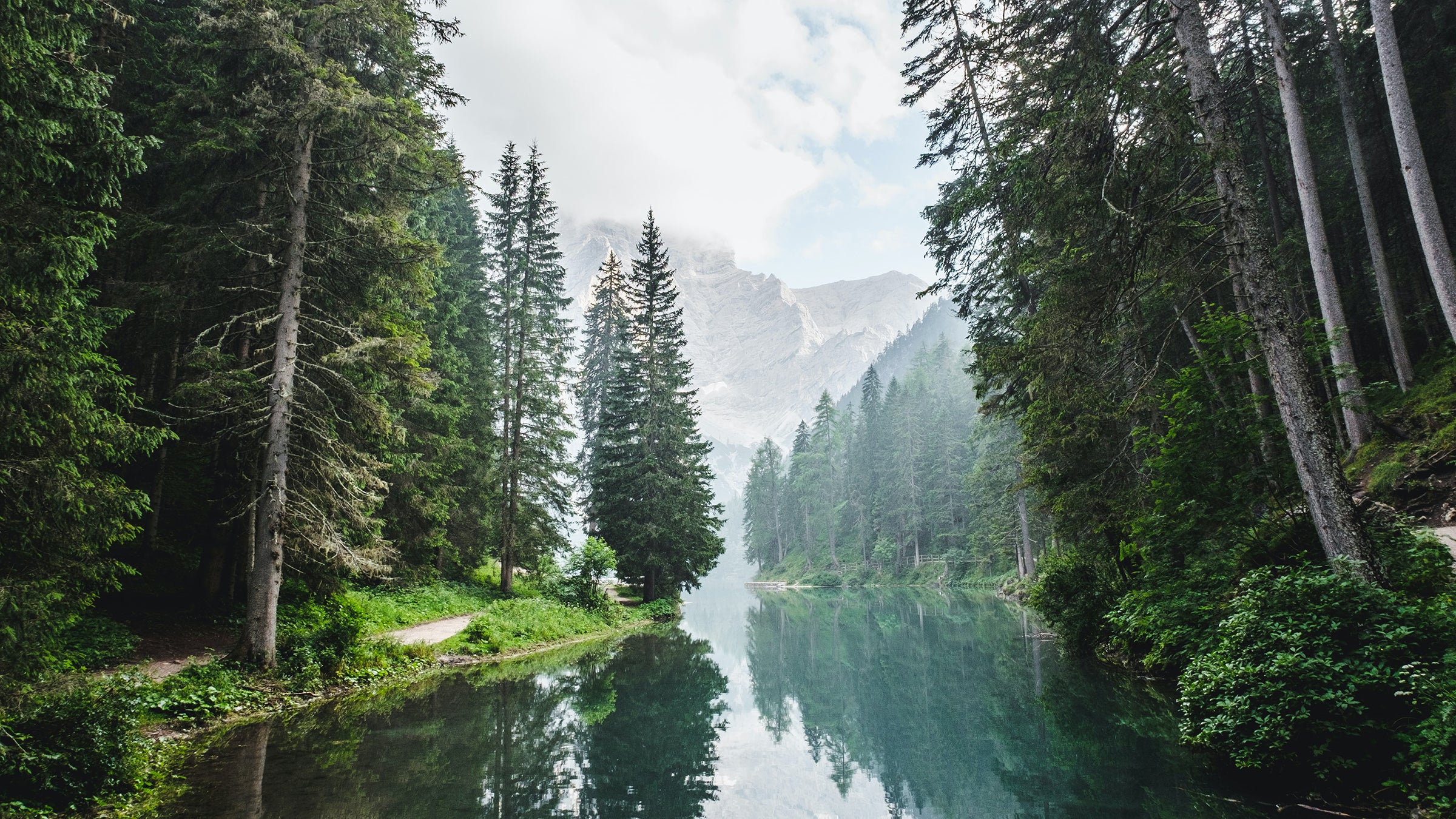 Massive oil and gas companies need to borrow money to build new pipelines or start extracting from new areas. They get that money from major banks.