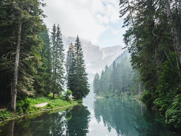 Massive oil and gas companies need to borrow money to build new pipelines or start extracting from new areas. They get that money from major banks.