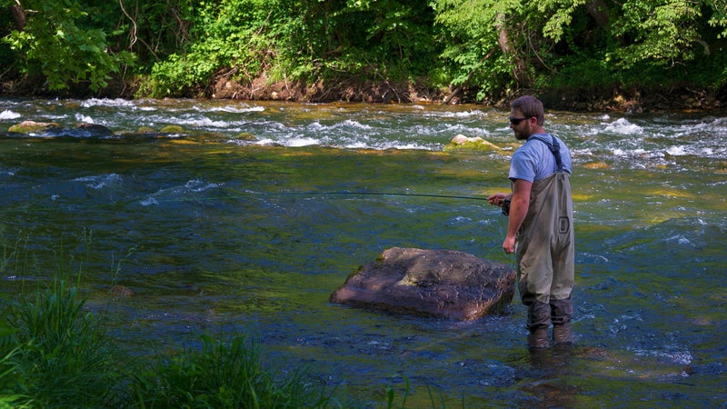 Fisherman Fishing Watauga River in Tennessee