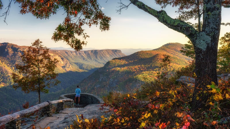 Autumn view of the Linville Gorge Wilderness from Wisemans Point Overlook