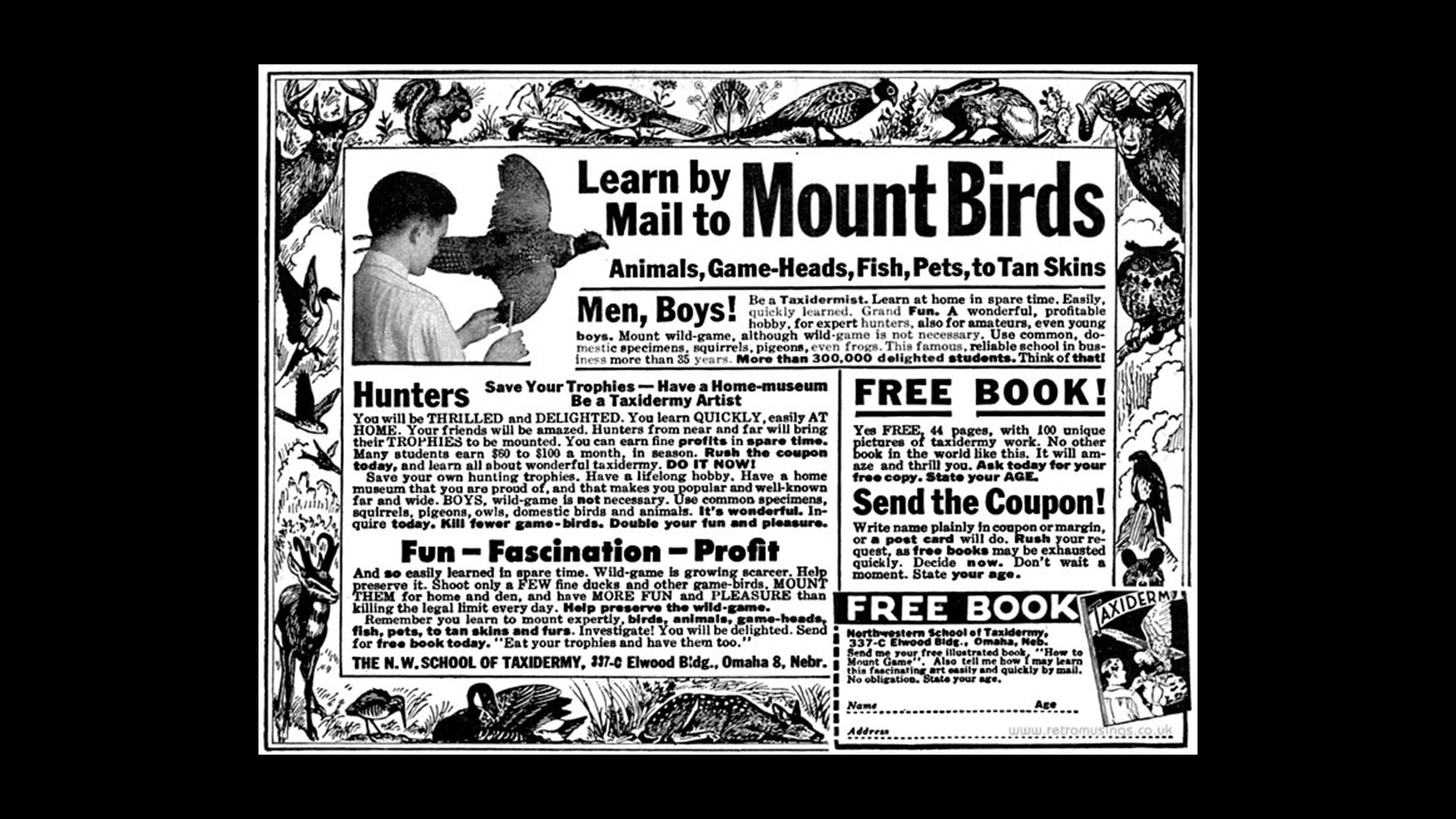 A vintage ad from the Northwestern School of Taxidermy