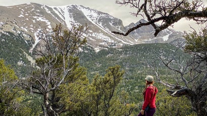 Wheeler Peak