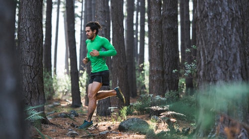 Fit Active Man Running A Trail Through A Forest
