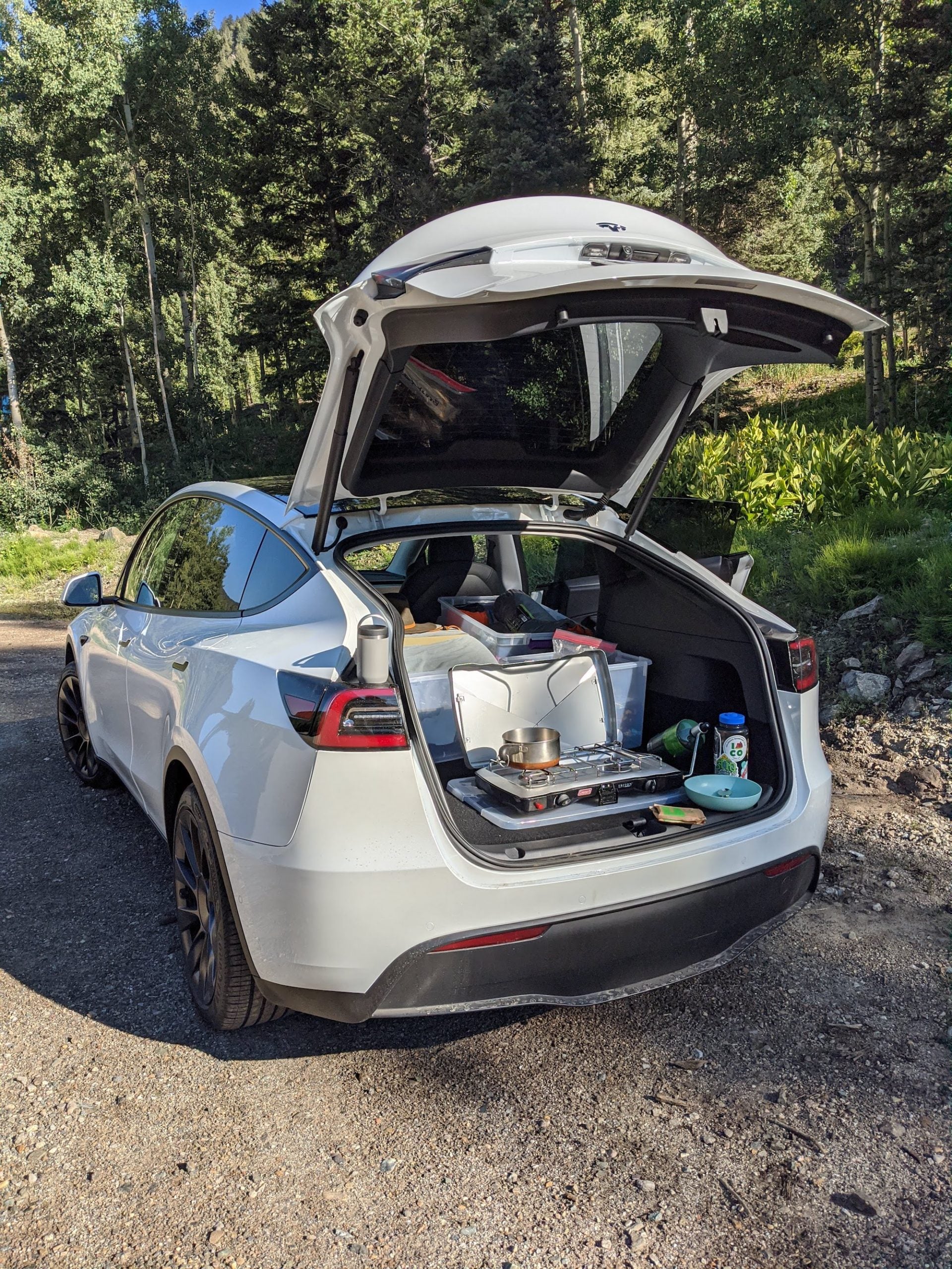 Cooking in the Tesla
