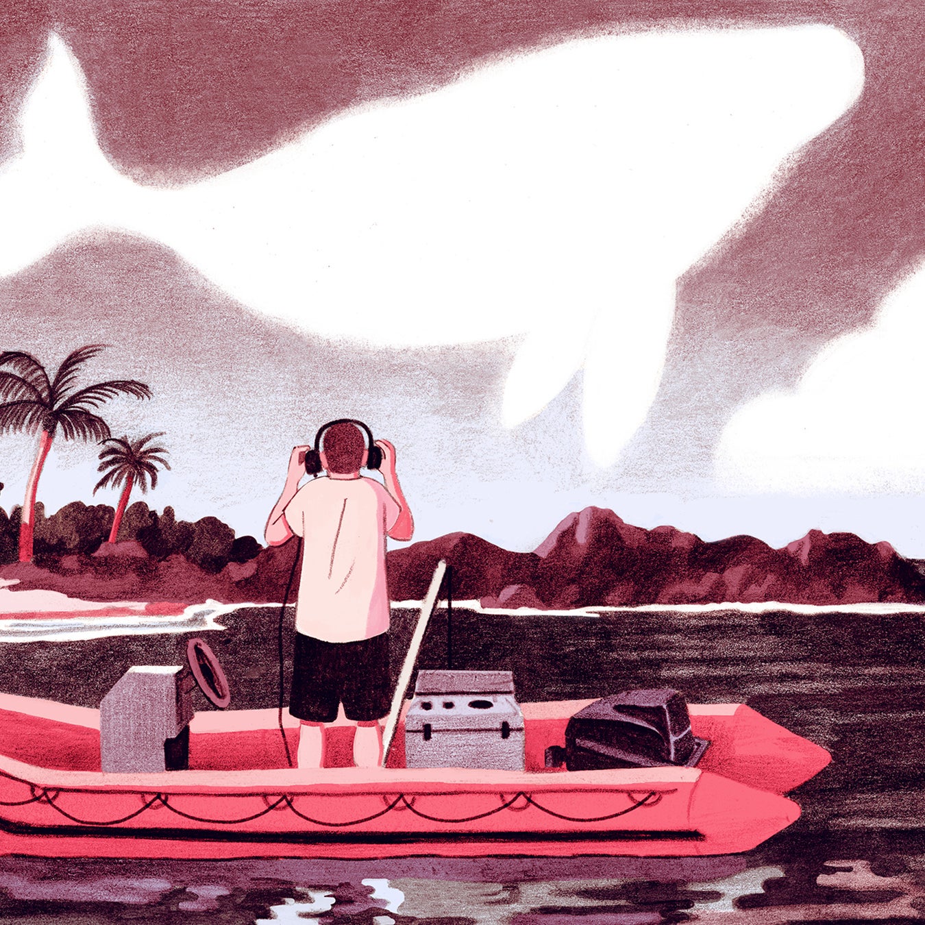 Though scientists think that singing plays a role in breeding displays, a lot remains unknown about humpback songs.