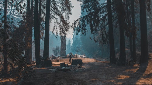 Over the course of 72 hours, around 11,000 bolts of lightning touched down across central California, starting 367 wildfires.