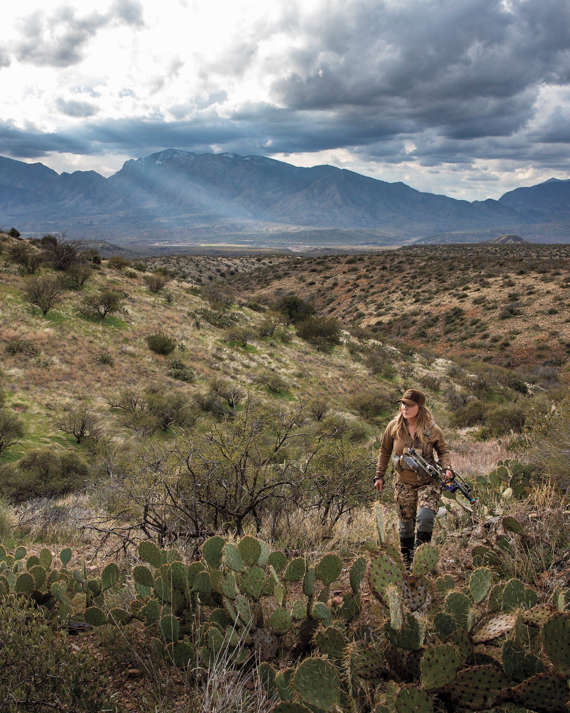 Caldwell stalking among the prickly pears