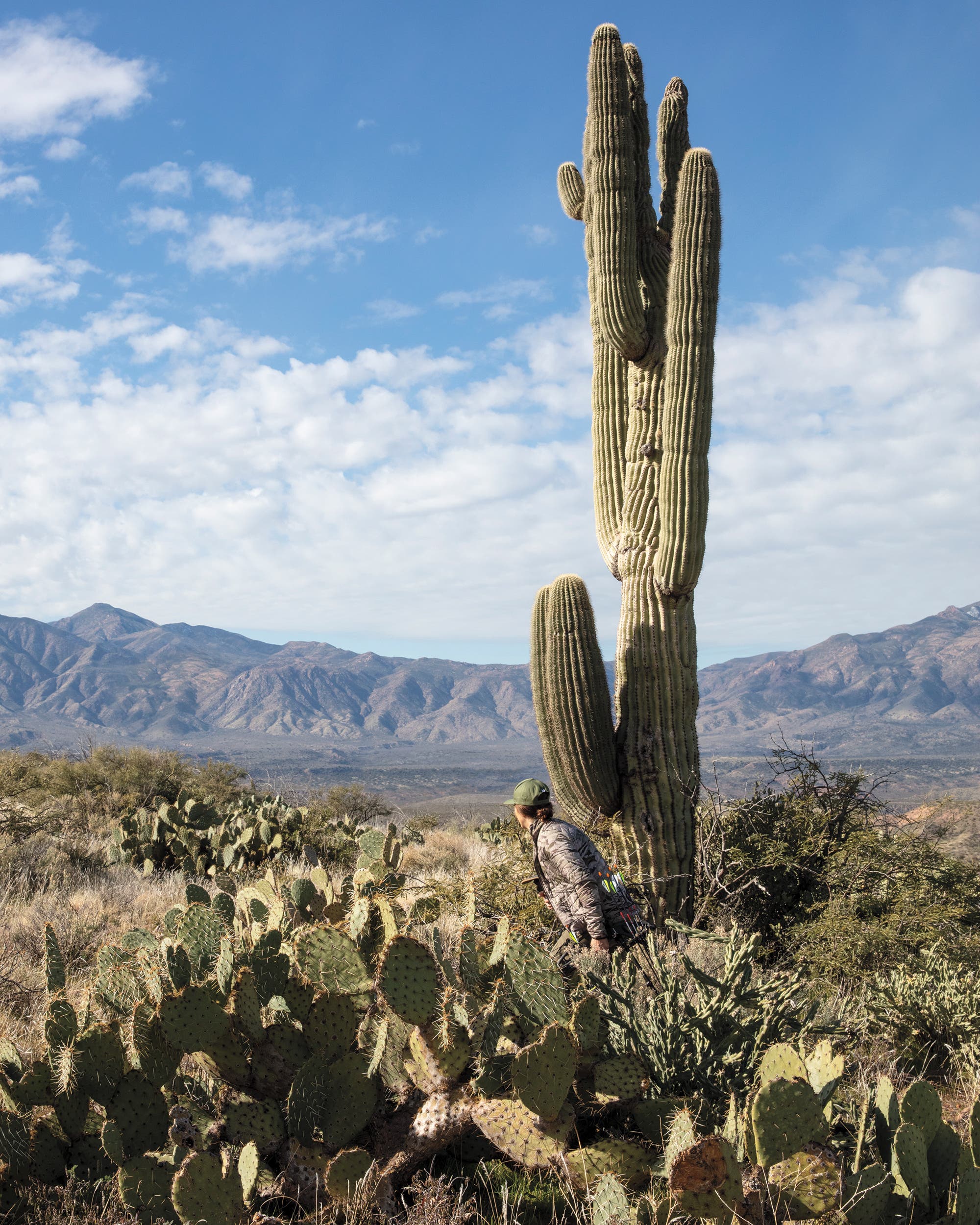Rihana Cary closing in on a buck