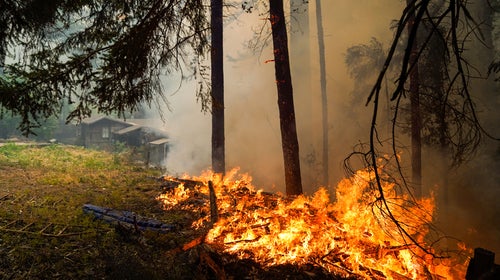If You Move Out Here, You Make a Deal With Nature': Life in a Fire