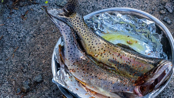 Freshly caught trout tastes way better than a bag of freeze-dried slop.