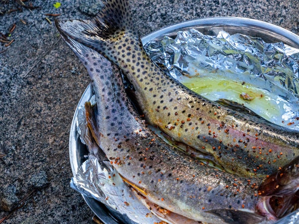 Freshly caught trout tastes way better than a bag of freeze-dried slop.