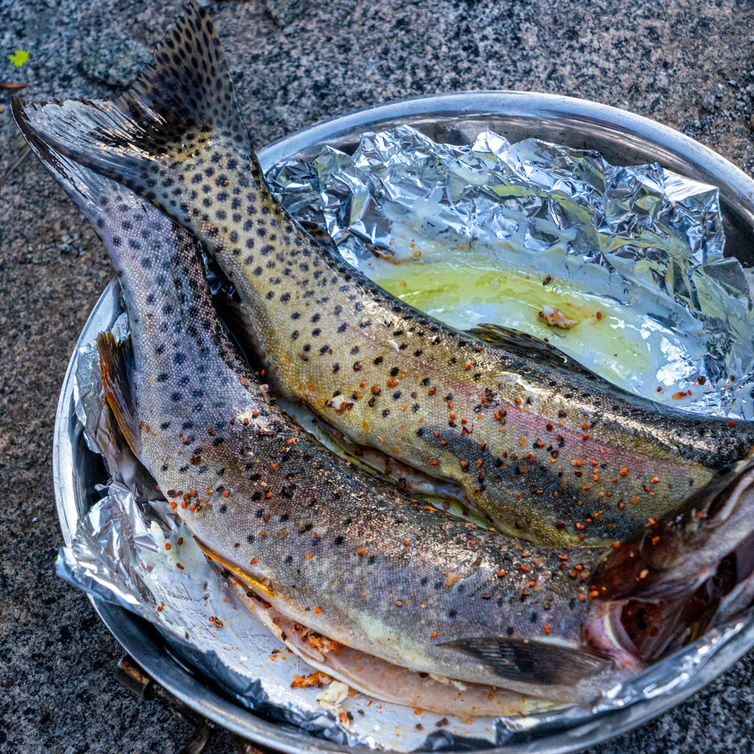 How to Clean Cook and Eat Trout in the Backcountry